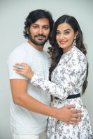Ninnu Thalachi Movie Press Meet